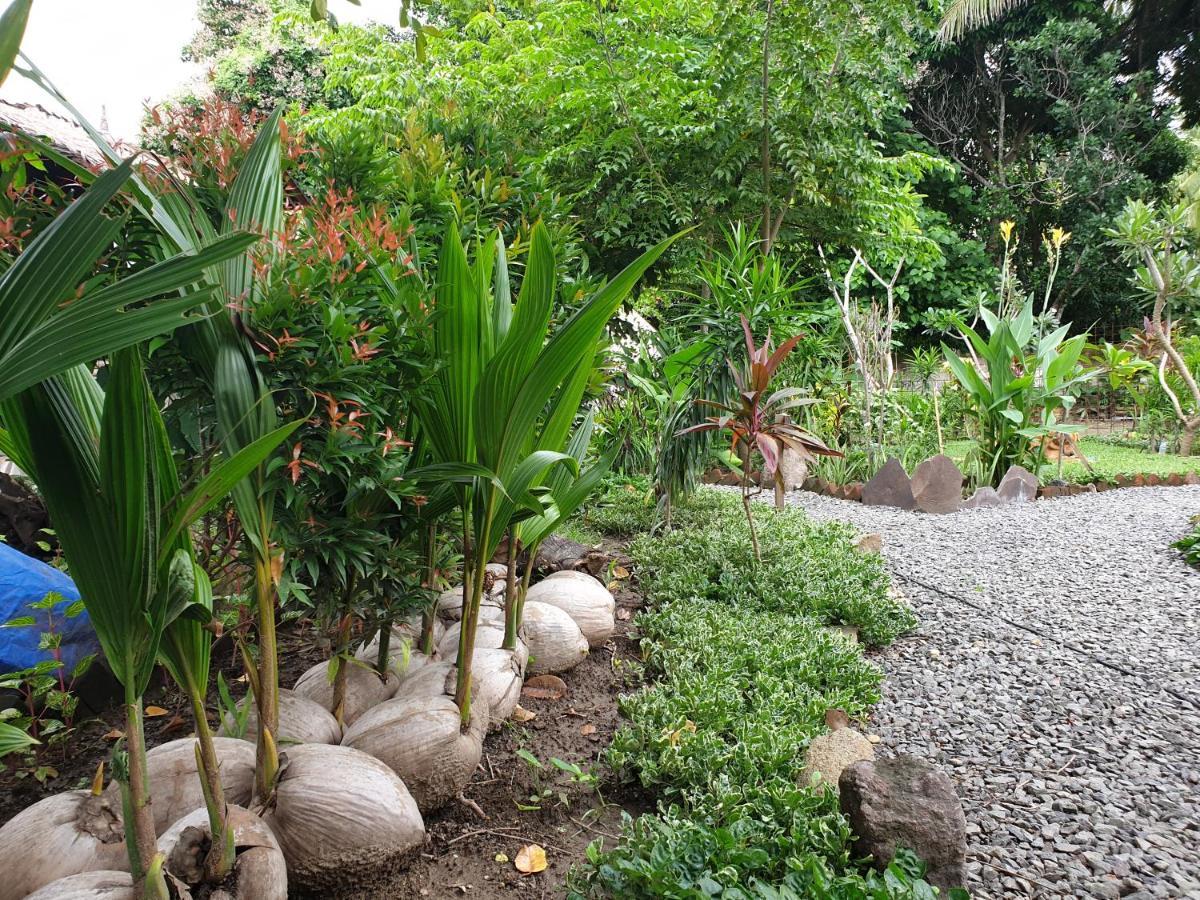 Kuta  Same Same Bungalows - Eco Friendly מראה חיצוני תמונה